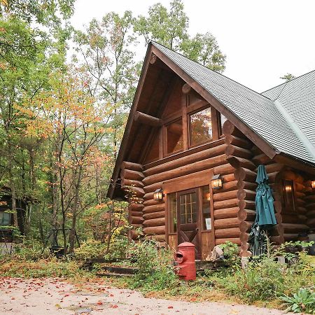 Canadian Loghouse Inn Azuminoyujin Kültér fotó