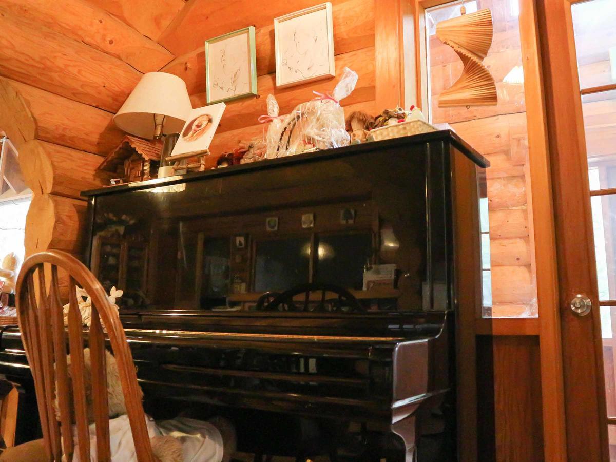 Canadian Loghouse Inn Azuminoyujin Kültér fotó